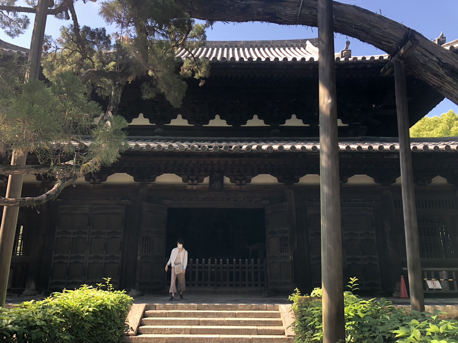 京都 大徳寺 ぶらり散策 特別公開 金毛閣 へ 禅と茶の湯 千利休との